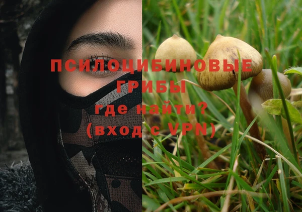 ПСИЛОЦИБИНОВЫЕ ГРИБЫ Алексеевка