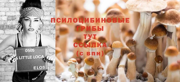 мдма Няндома