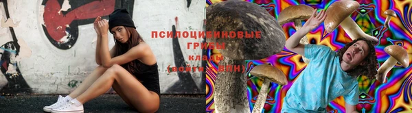 ПСИЛОЦИБИНОВЫЕ ГРИБЫ Алексеевка