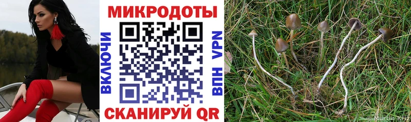 Псилоцибиновые грибы GOLDEN TEACHER  даркнет сайт  Николаевск 