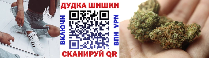 цена наркотик  Николаевск  Бошки Шишки планчик 